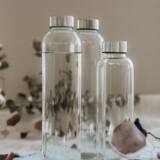 0017593_50000-37021-botella-fridge-verre__550