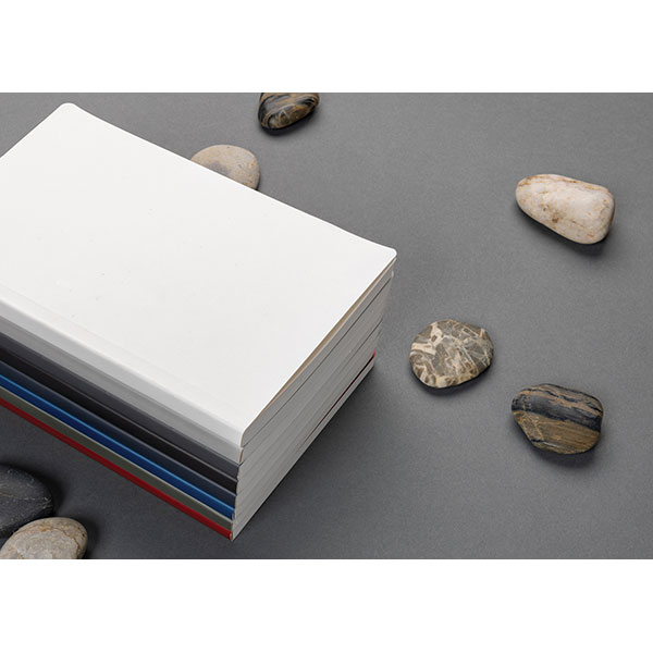 p774.21__p774.217__8007